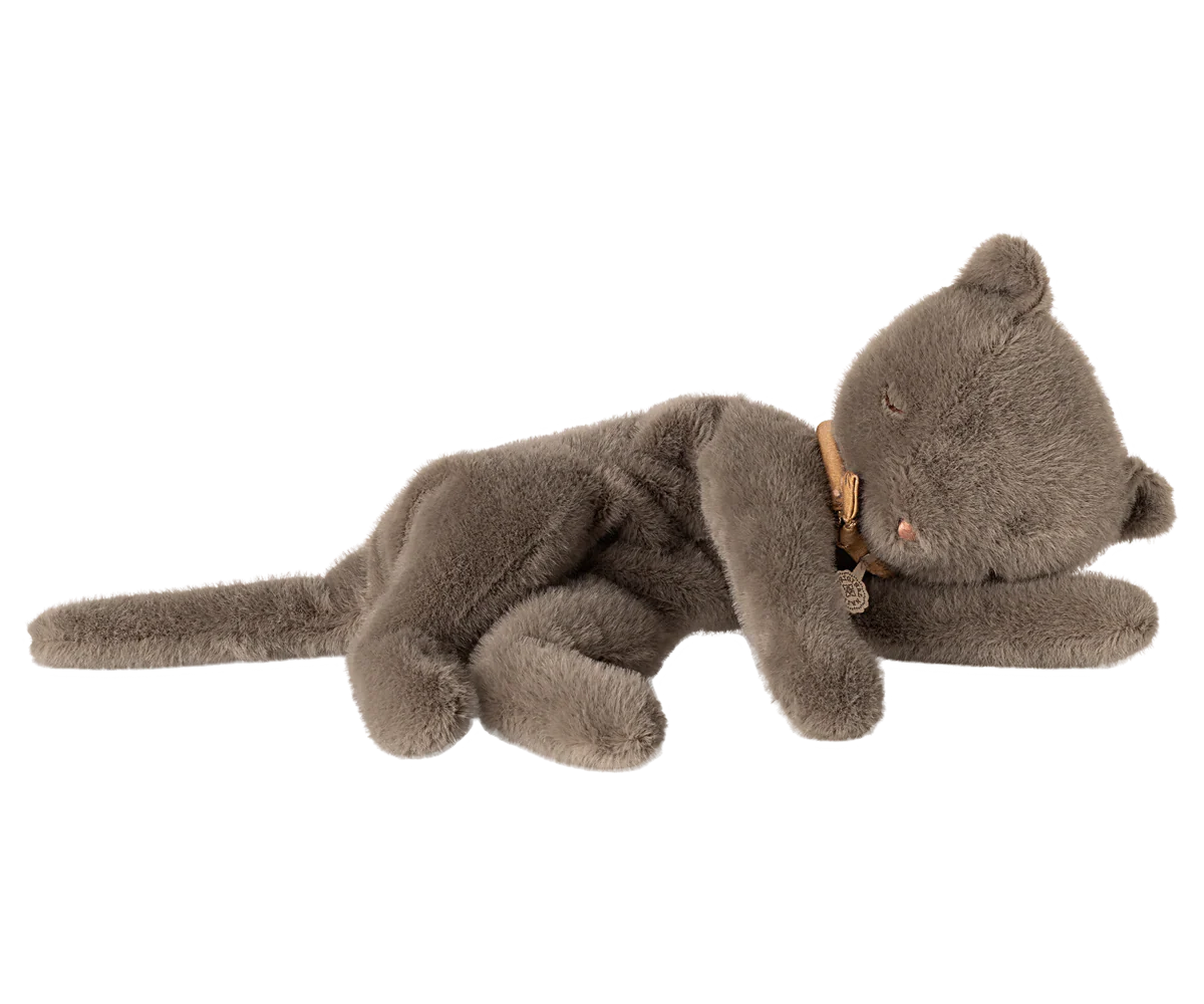 Sleeping Kitten Plus, Medium | Grey