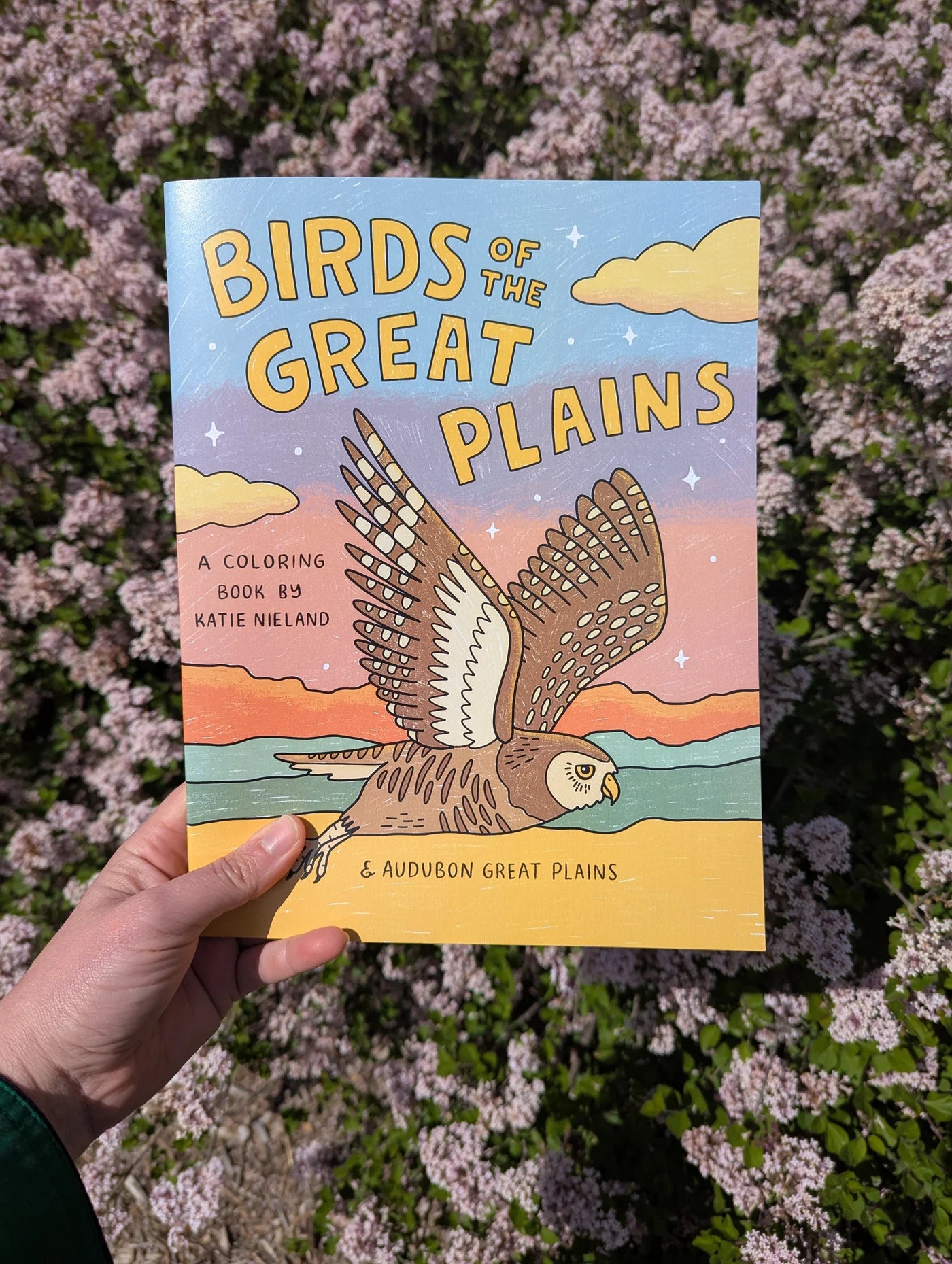 Birds of the Great Plains Coloring Book
