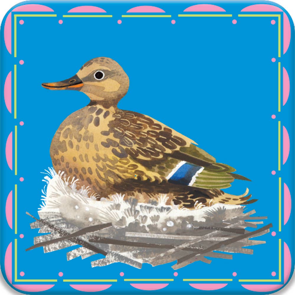 Birds Little Memory + Matching Game