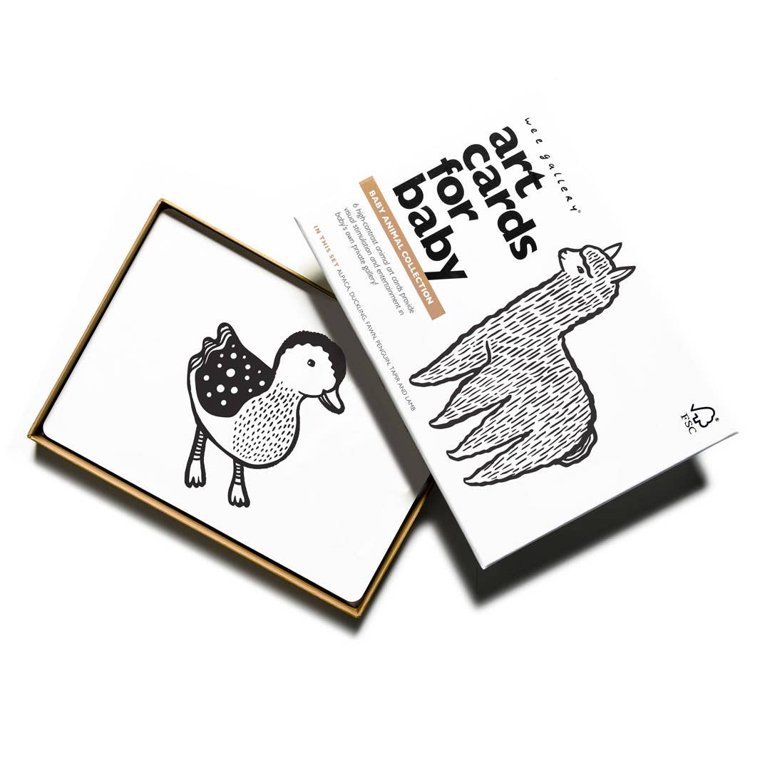 Baby Animal Art Cards for Baby
