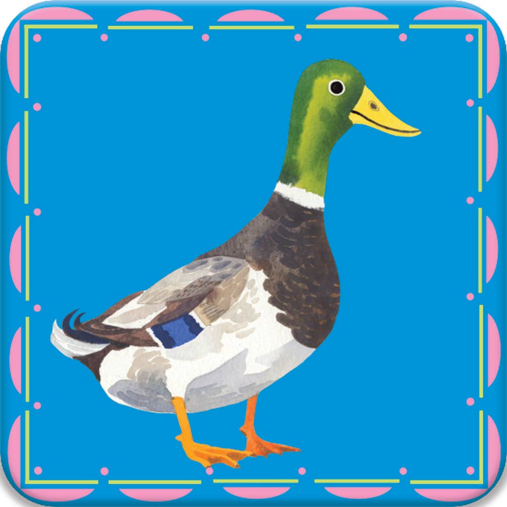 Birds Little Memory + Matching Game