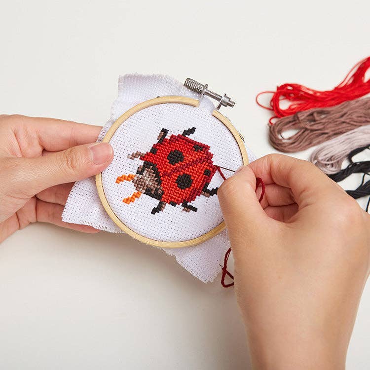Ladybug Mini Cross Stitch Embroidery Kit