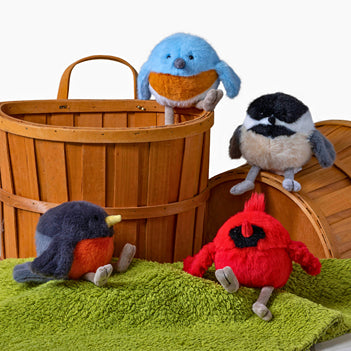 Rolly Bird  Robin