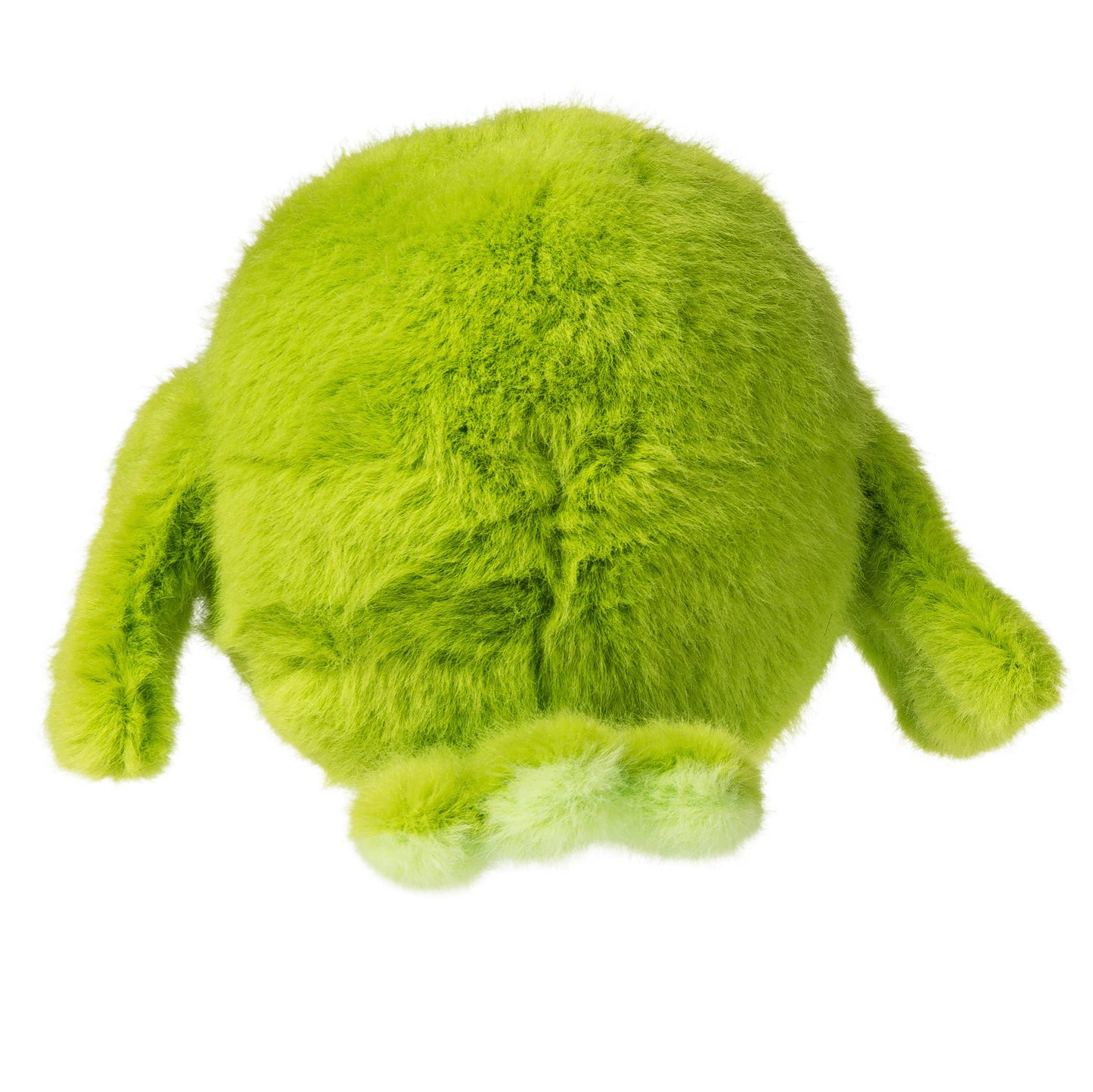 Rolly Parakeet