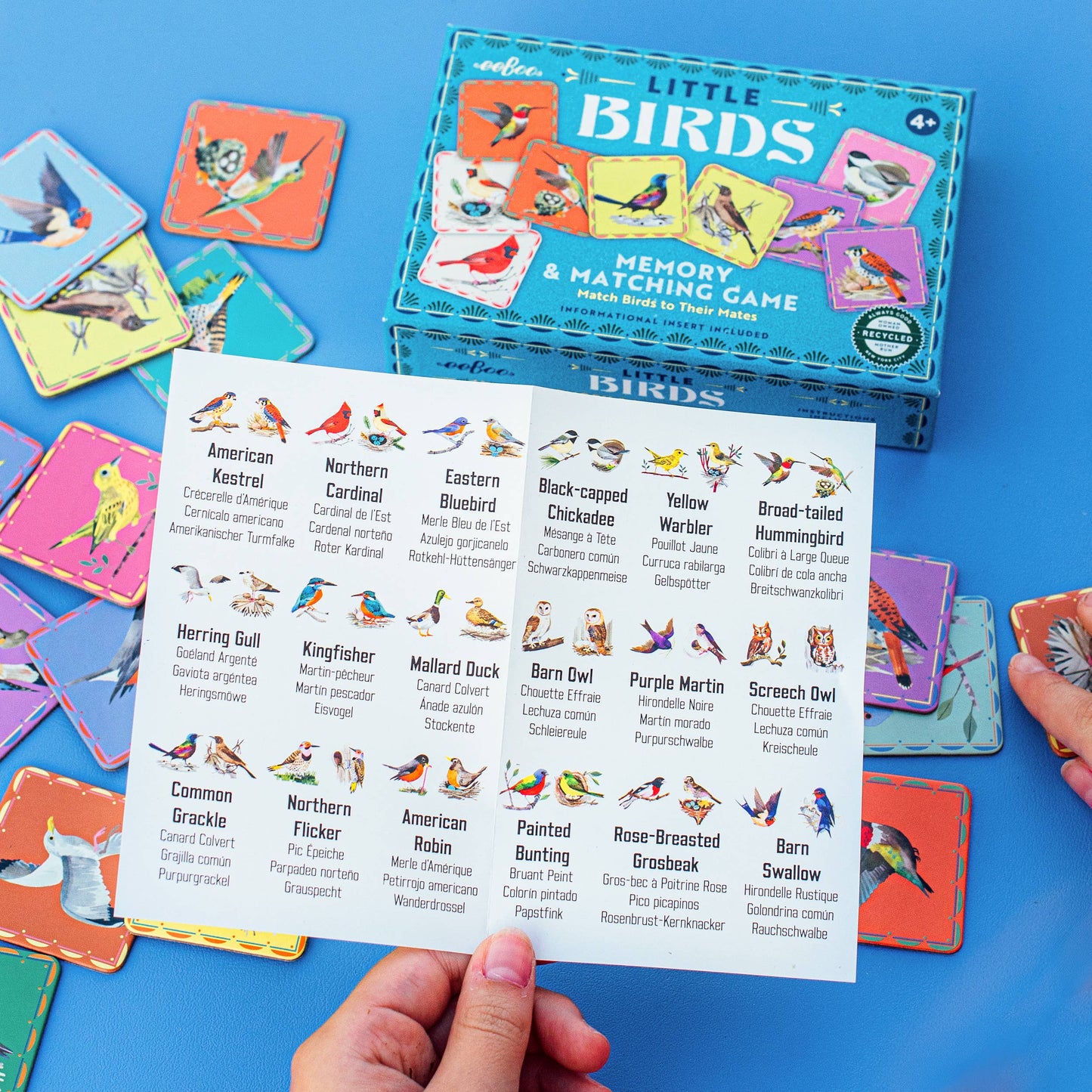 Birds Little Memory + Matching Game