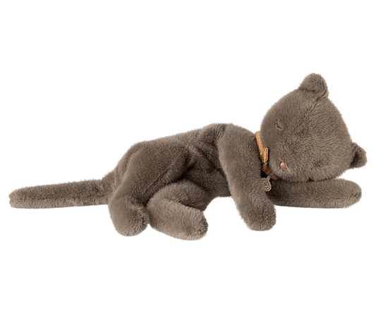 Sleeping Kitten Plus, Medium | Grey