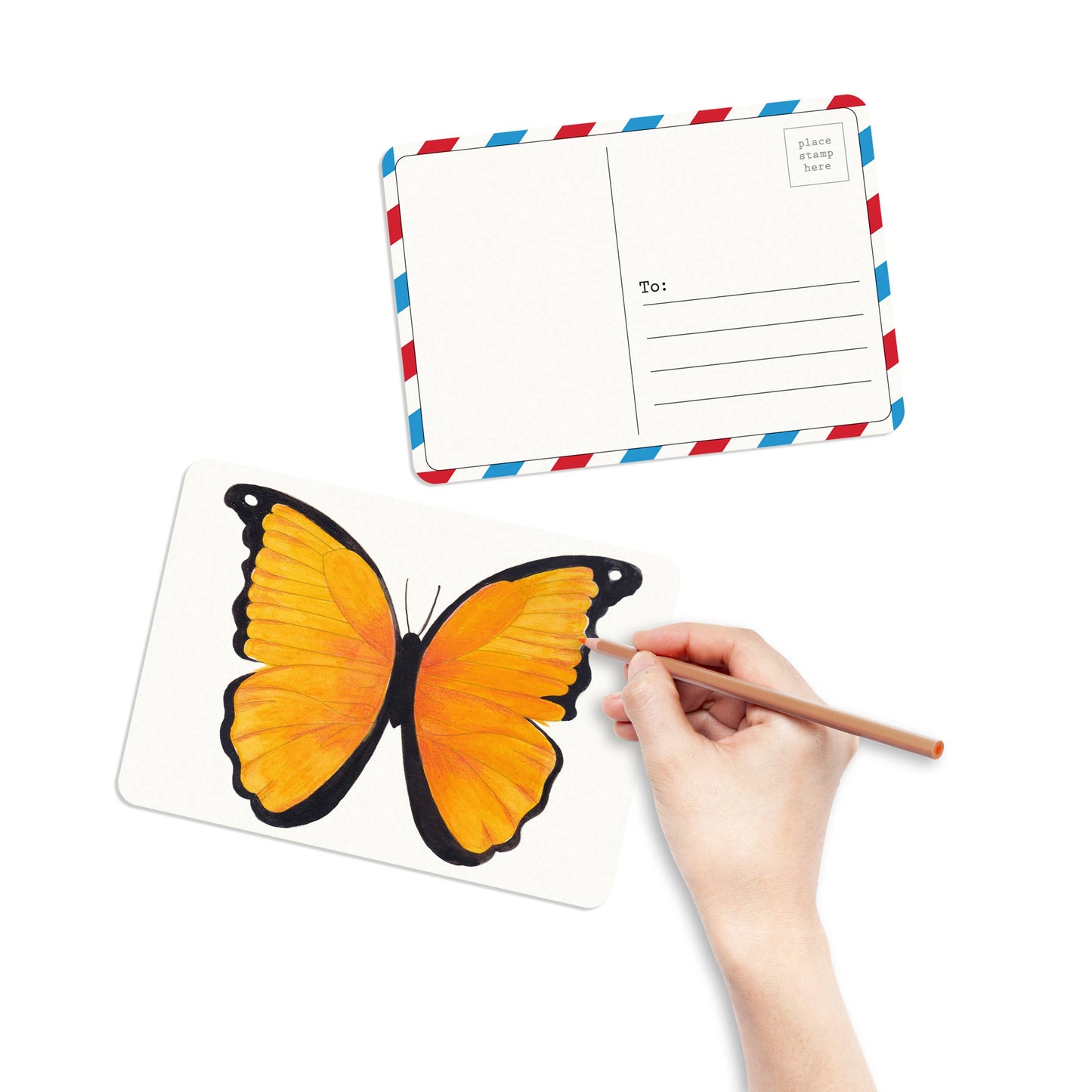 Coloring Postcards with 6 Butterfly + Moth Designs