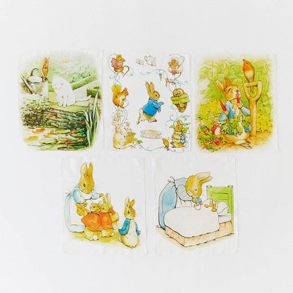 Mini Mini Beatrix Potter Mystery Boxes